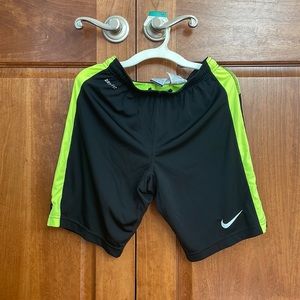 Nike Dri-Fit Running Shorts